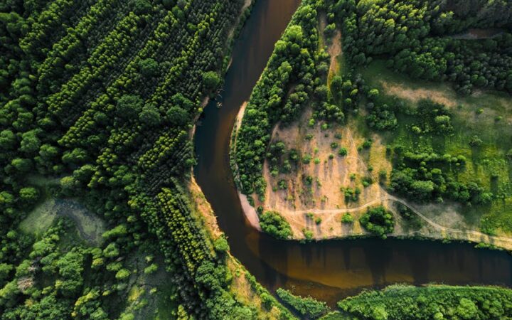 Why Compliance with Environmental Laws is Crucial in 2026